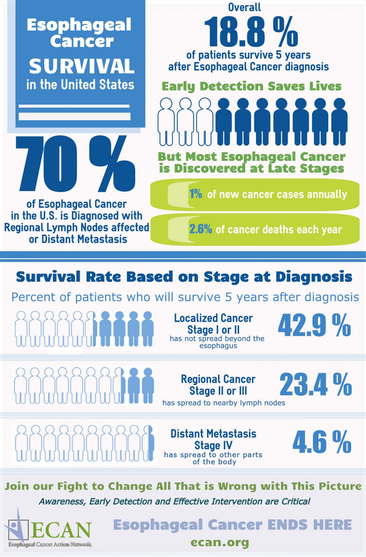 About Esophageal Cancer Esophageal Cancer Action Network