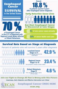 EC Survival Rates US infographic really final